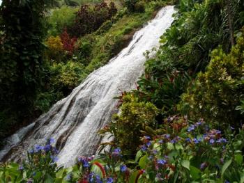 SHAW PARK GARDENS AND WATERFALLS