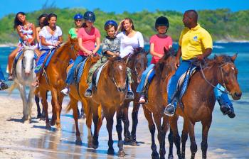 BRACO STABLES